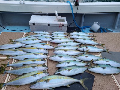20201101_155016.jpg
