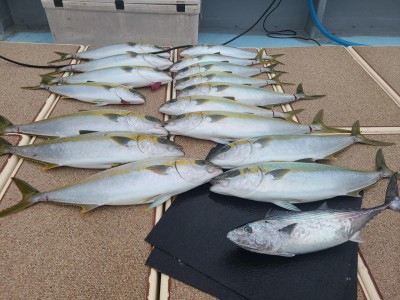 20201102_123555.jpg
