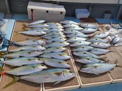 20201103_135317.jpg